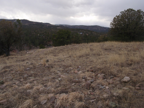 Mimbres dwelling deppression in the ground.